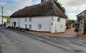 The White Cottage